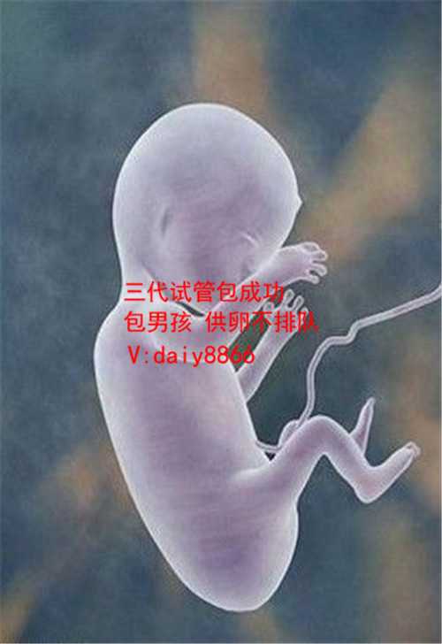 孕宝国际商标_孕宝国际试管婴儿中心成都在哪里_两步移植法移植两个胚胎成双