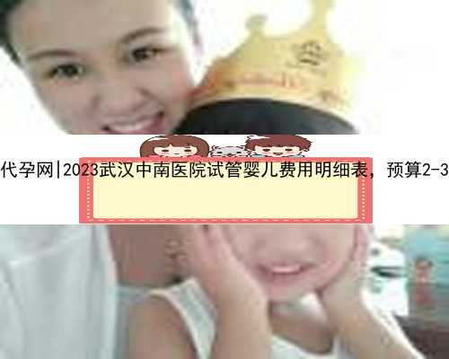 武汉好孕代孕网|2023武汉中南医院试管婴儿费用明细表，预算2-3万也足够